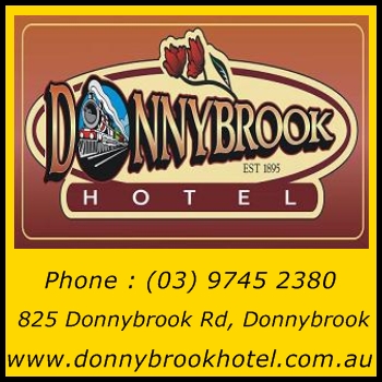 donnybrook image